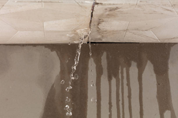 Professional Water Damage Inspection technician working in Hurlburt Field, FL